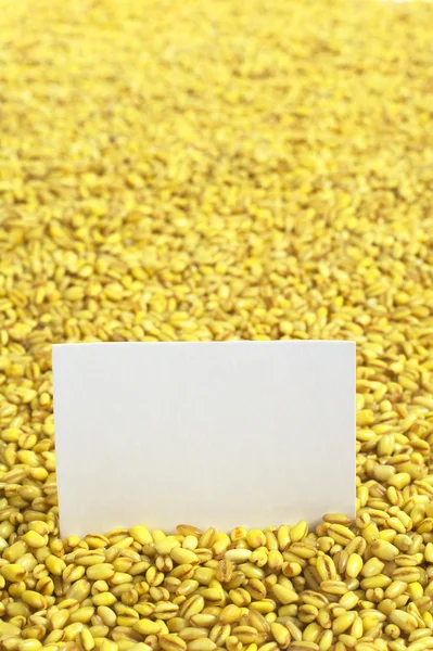 原料珍珠大麦与空白卡 — 图库照片