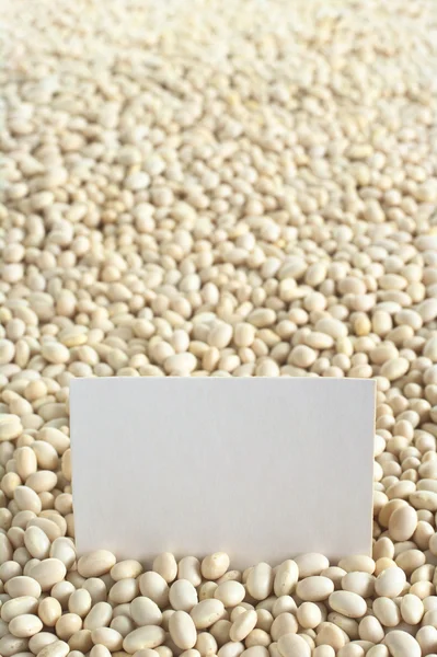 Raw Navy Beans with Blank Card — Stock Photo, Image