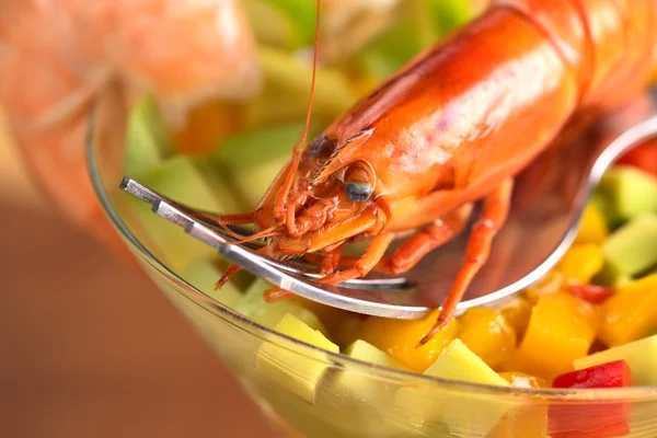 stock image Shrimp on Mixed Salad in Cocktail Glass