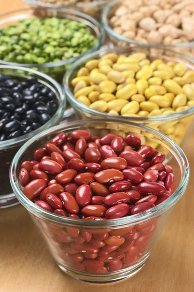 Kidney Beans and Other Legumes — Stock Photo, Image