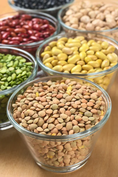 Lentils and Other Legumes — Stock Photo, Image