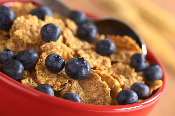 Wholewheat Flakes with Fresh Blueberries — Stock Photo, Image
