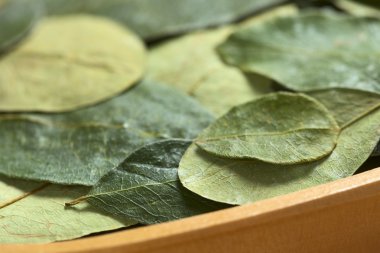 Coca Leaves in Wooden Bowl clipart