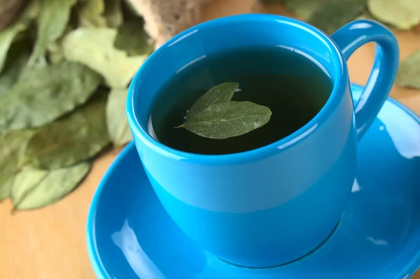 Чай кока — стоковое фото