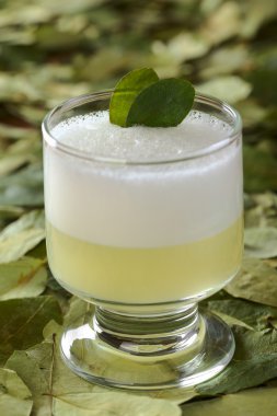 Peruvian Cocktail Called Coca Sour clipart