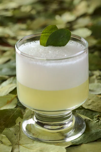 Peruanischer Cocktail namens Coca Sour — Stockfoto