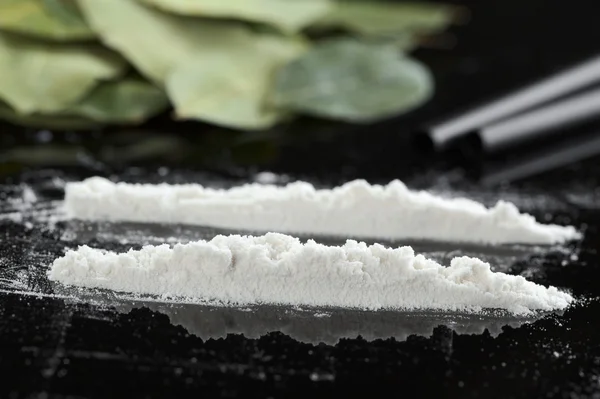 Kokain på kokablad — Stockfoto