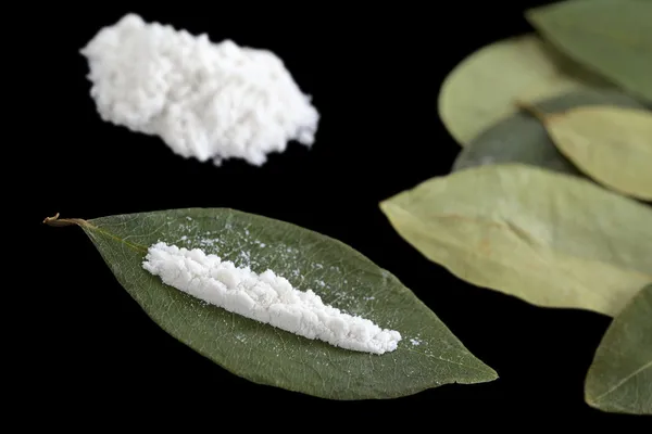 Kokain på kokablad — Stockfoto