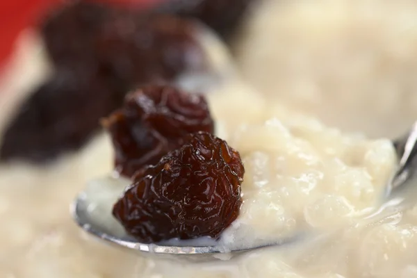 Rice Pudding with Raisins — Stock Photo, Image