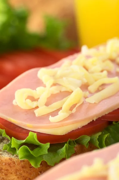 Sandwich abierto con queso rallado — Foto de Stock