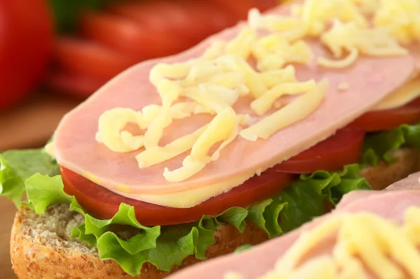 Sandwich abierto con queso rallado — Foto de Stock