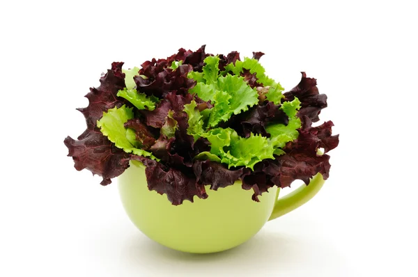 Lettuce leaves in a bowl — Stock Photo, Image