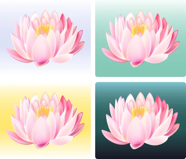 Vector illustratie van lotus — Stockvector