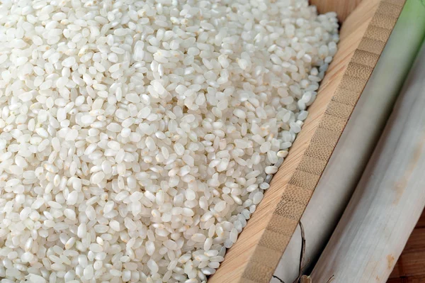 Bílá rýže — Stock fotografie
