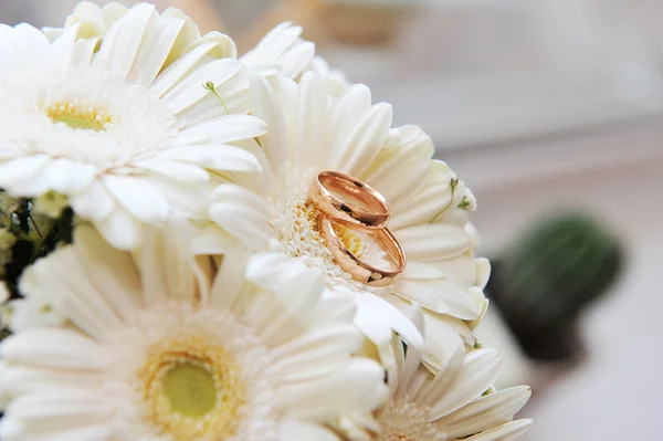 White gerbera and wedding rings — Stock Photo, Image