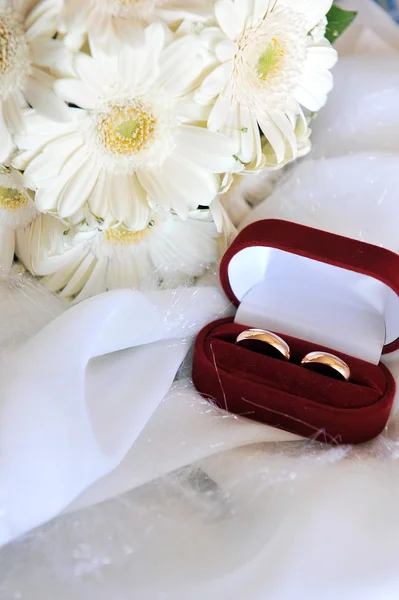 Gerberas blancas y anillos de boda —  Fotos de Stock