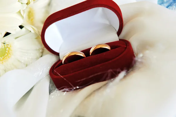 ガーベラ ホワイトと結婚指輪 — ストック写真