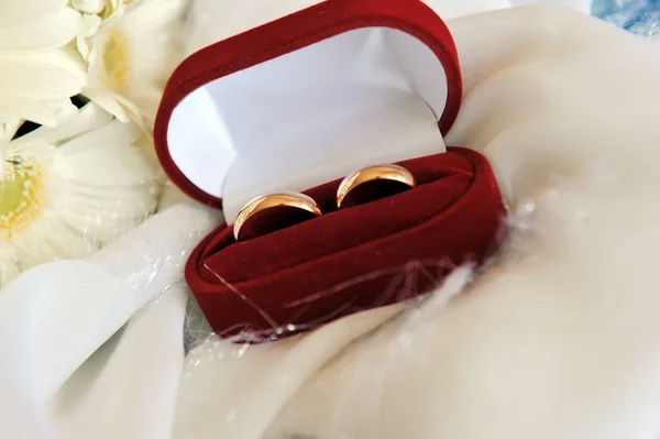 ガーベラ ホワイトと結婚指輪 — ストック写真