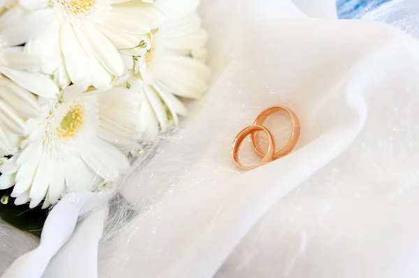Белая гербера и обручальные кольца — стоковое фото