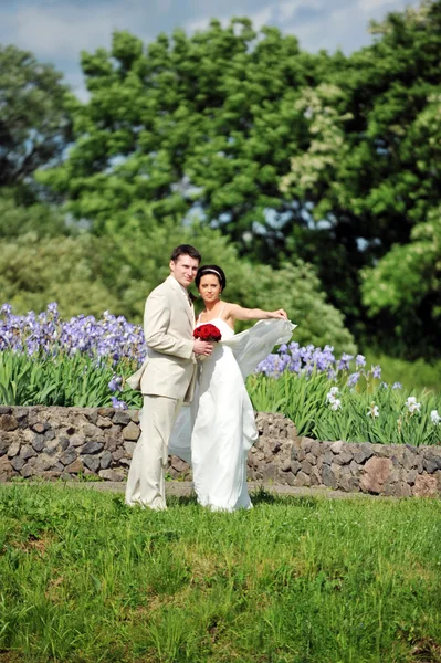 Bräutigam und Braut — Stockfoto
