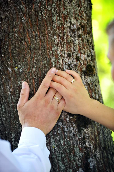 Руки жениха и невесты — стоковое фото