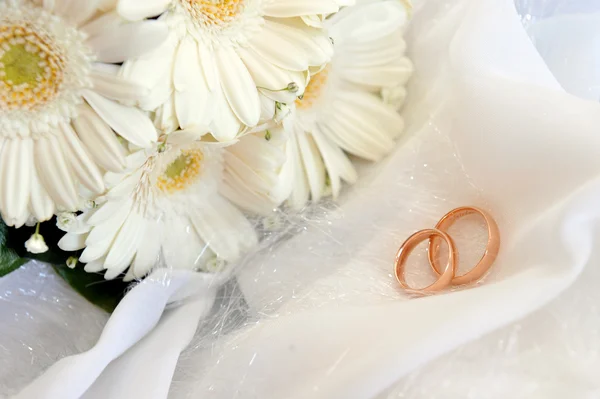 Gerbera branca e alianças de casamento — Fotografia de Stock
