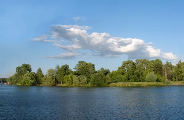 Летний природный пейзаж с деревьями на берегу реки — стоковое фото