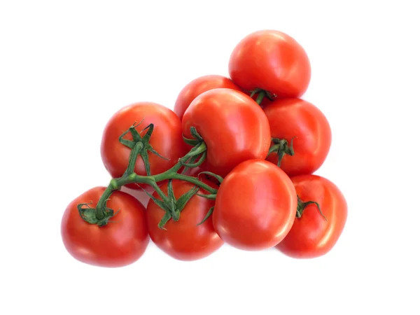Muchos tomates rojos frescos en rama verde aislado en blanco —  Fotos de Stock