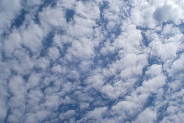 Wielu chmury na wysoki niebieski niebo latem — Zdjęcie stockowe