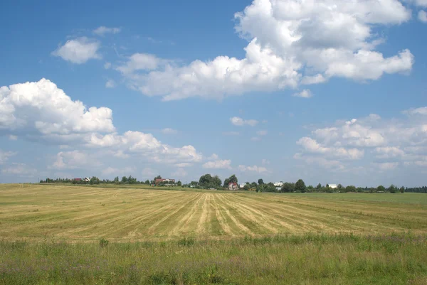 Venkovská letní krajina s domy na panorama — Stock fotografie
