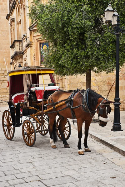 stock image Tourist chariot in the Old City of Mdina, Malta