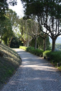 Camino de Santiago (yol St. James od). İspanya