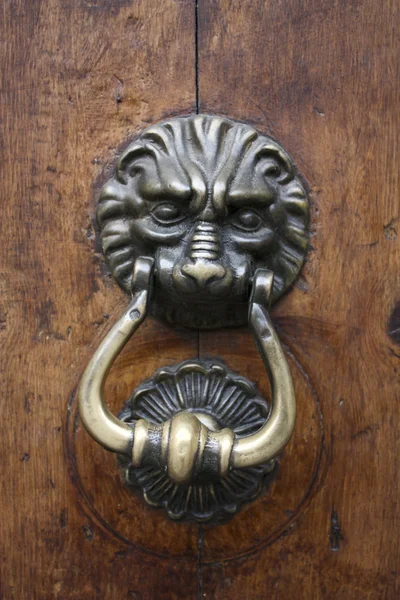 문 고리 모양의 금속 사자 — 스톡 사진