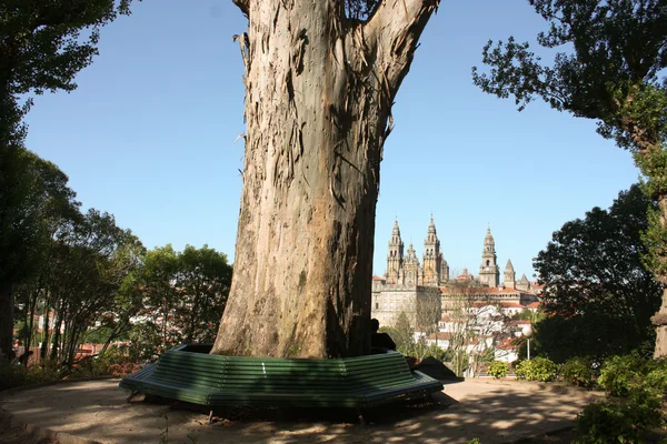 Paisaje urbano de Santiago De Compostela . — Foto de Stock