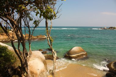 Karayip plaj tropikal orman ile. Tayrona Milli Parkı. Col