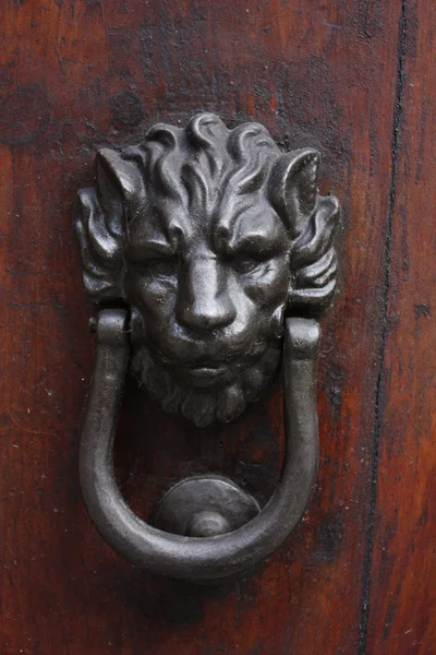 Kołatka w kształcie metalowych leon — Zdjęcie stockowe