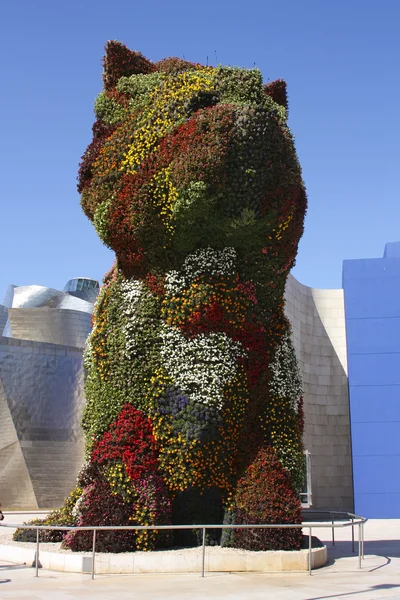 Szczeniak, rzeźby. Guggenheima w bilbao — Zdjęcie stockowe