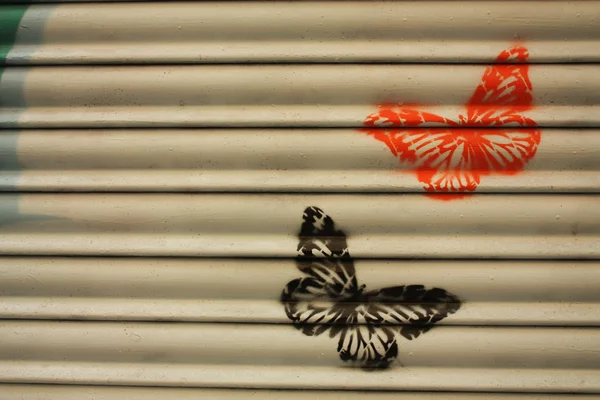 Papillons — Photo