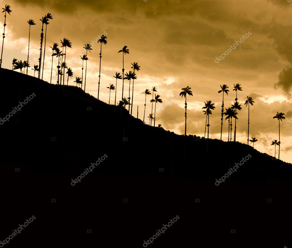 Dramatic sunset in Cocora valley, Colombia — Stock Photo ...