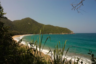 Caribbean beach with tropical forest. Tayrona National Park. Col clipart