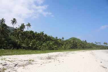 Karayip Denizi boyunca plaj ve tropikal orman