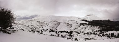 Snow-capped Pyrenees. Irati jungle. Navarra, Spain clipart