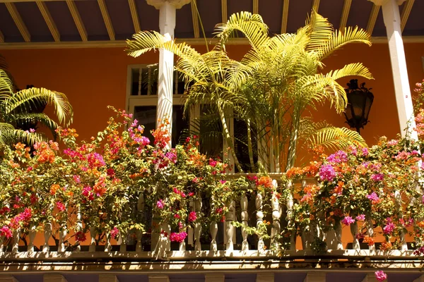 典型的殖民地风格阳台与植物。哥伦比亚卡塔赫纳 — 图库照片