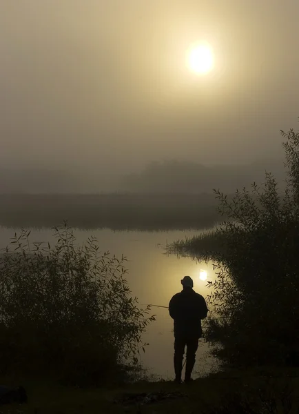 Stock image Morning on the foggy river