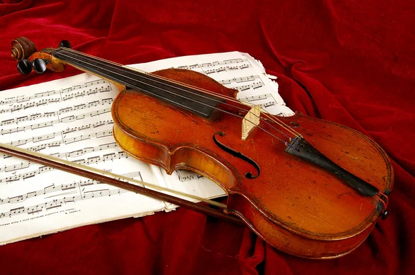 Le violon — Photo