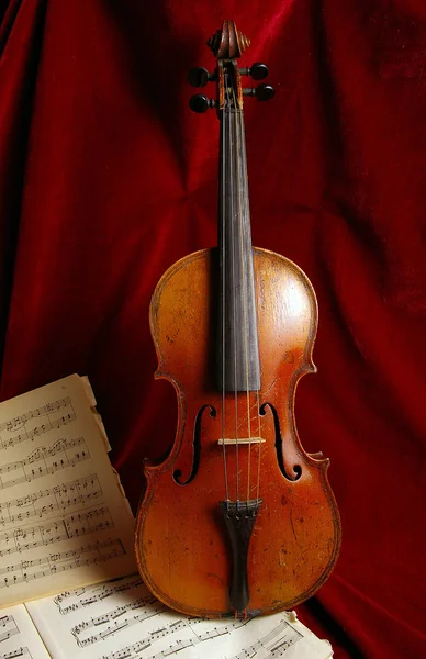 Die Geige — Stockfoto