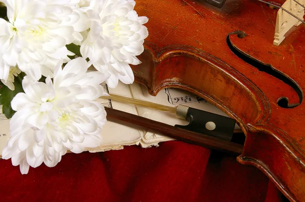 Το βιολί — Φωτογραφία Αρχείου