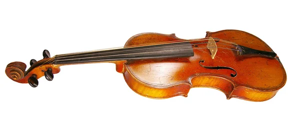 El violín —  Fotos de Stock