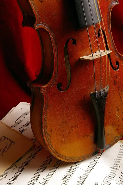 Violinen - Stock-foto