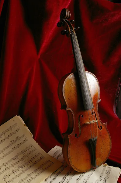 The violin — Stock Photo, Image